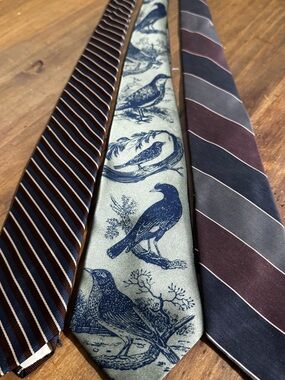 Vintage Tie Bundle Lot of 3 Guy Laroche Paris Nature Company Orsini of Florence